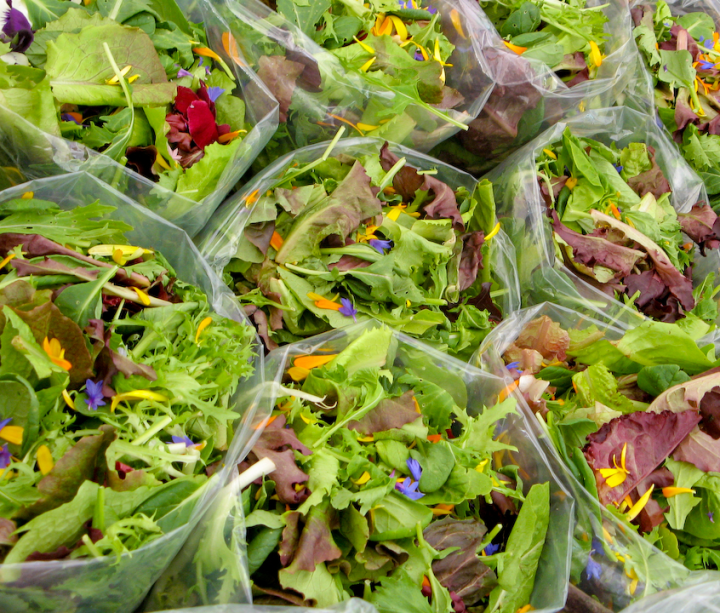 Salad pre-mix with edible flowers from the Santa Cruz Farmers’ Market Salad pre-mix with edible flowers from the Santa Cruz Farmers’ Market