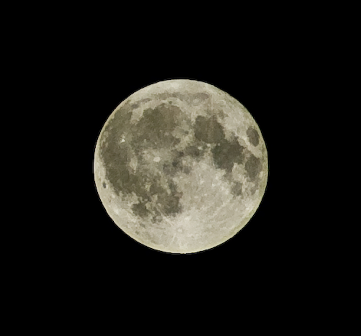 The Moon The Moon
