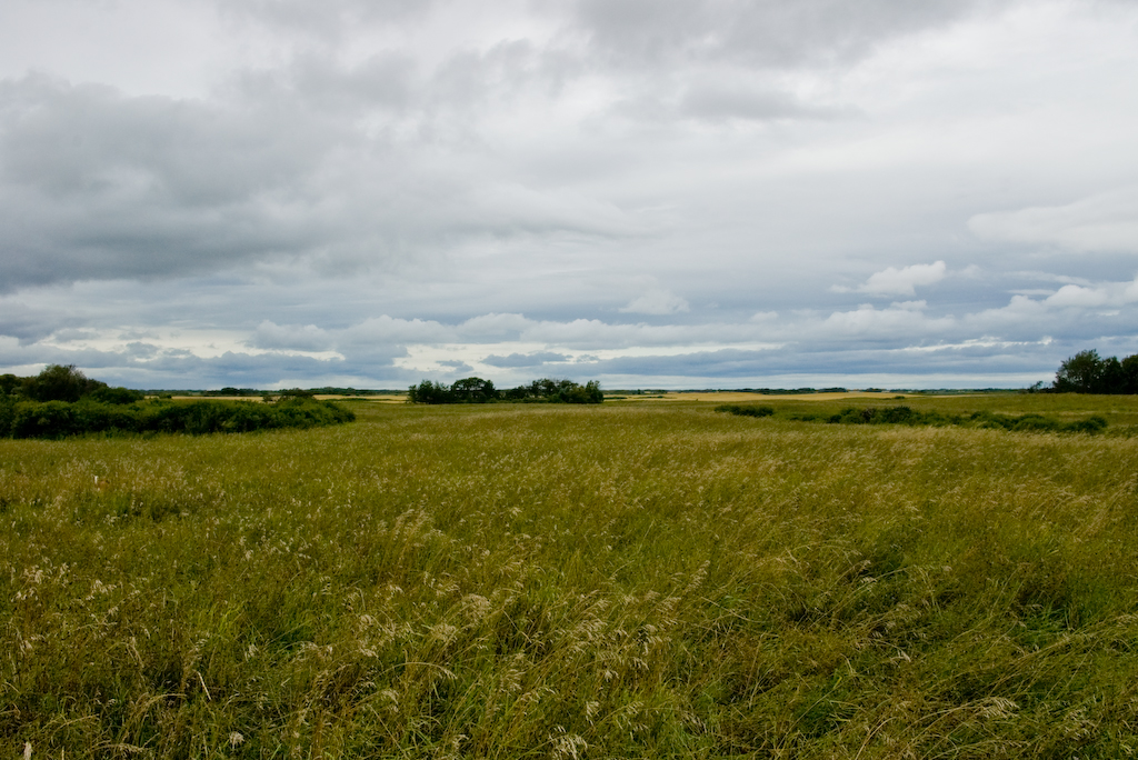 Prairies, Eastern Saskatchewan