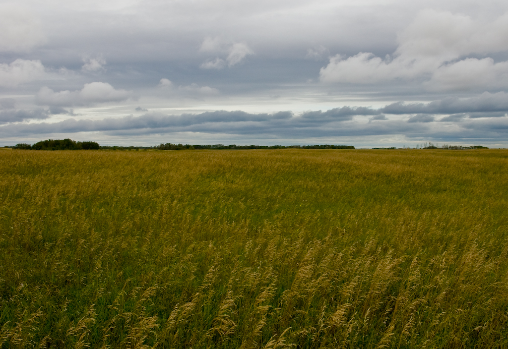Prairies, Eastern Saskatchewan