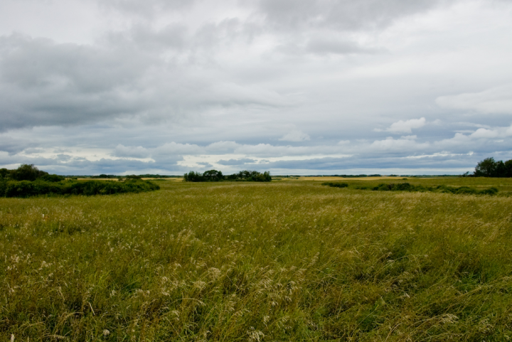 Prairies, Eastern Saskatchewan Prairies, Eastern Saskatchewan