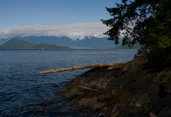 Log on the northern tip of Keats Island, BC Log on the northern tip of Keats Island, BC