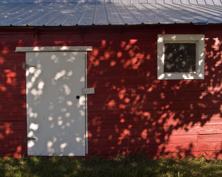 Sun-dappled prairie barn