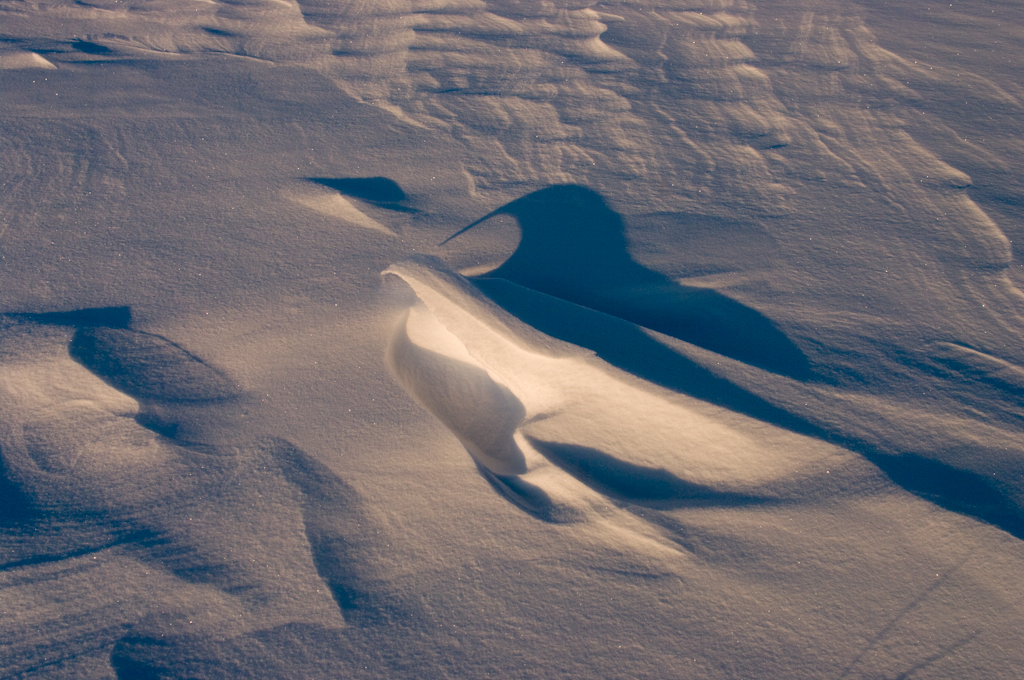 December-2008 Saskatchewan snowscape