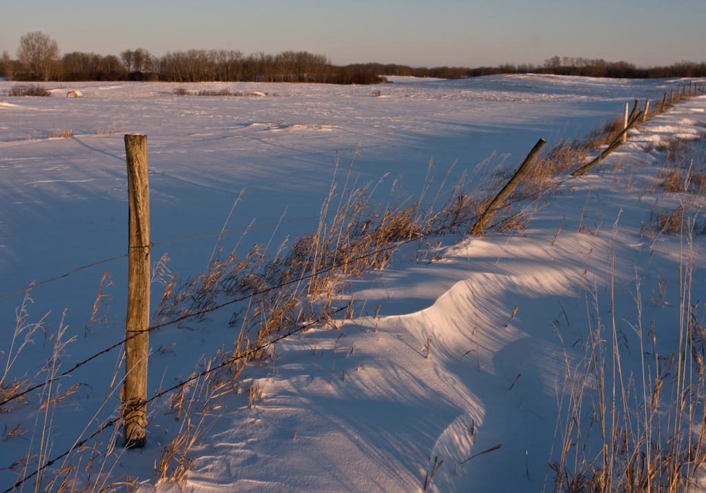 December-2008 Saskatchewan snowscape