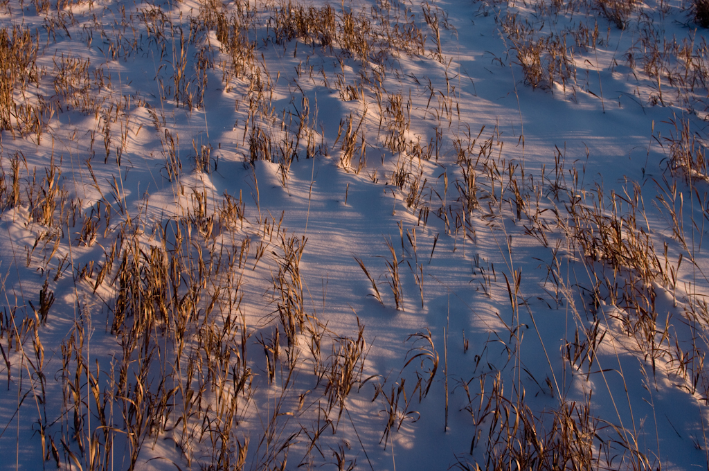 December-2008 Saskatchewan snowscape