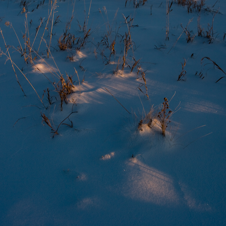 December-2008 Saskatchewan snowscape