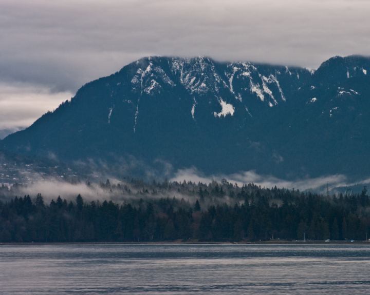 Low clouds in Stanley Park’s trees Low clouds in Stanley Park’s trees