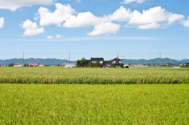 Farmscape near Izumo, Shimane