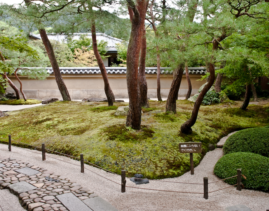 The garden at the Adachi museum