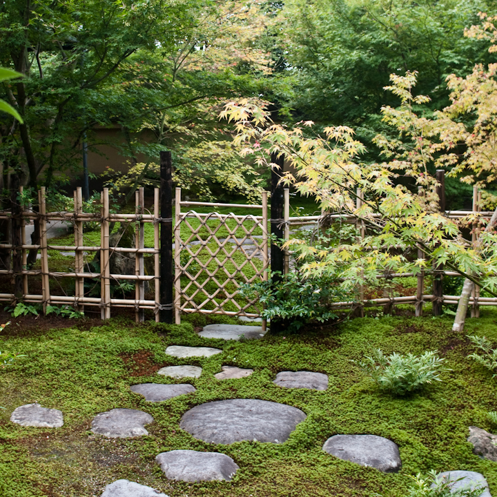 The garden at the Adachi museum The garden at the Adachi museum