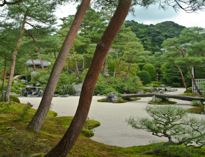 The garden at the Adachi museum