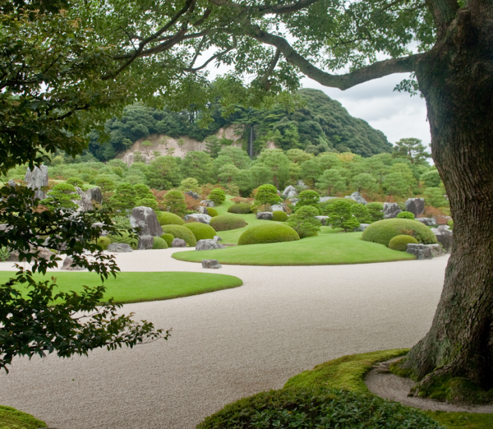 The garden at the Adachi museum