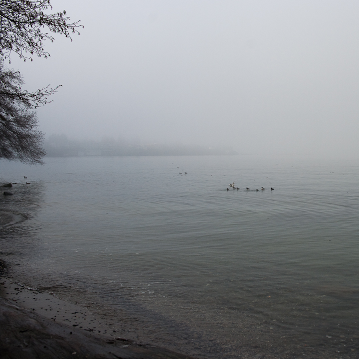 Foggy December 26th Vancouver beach