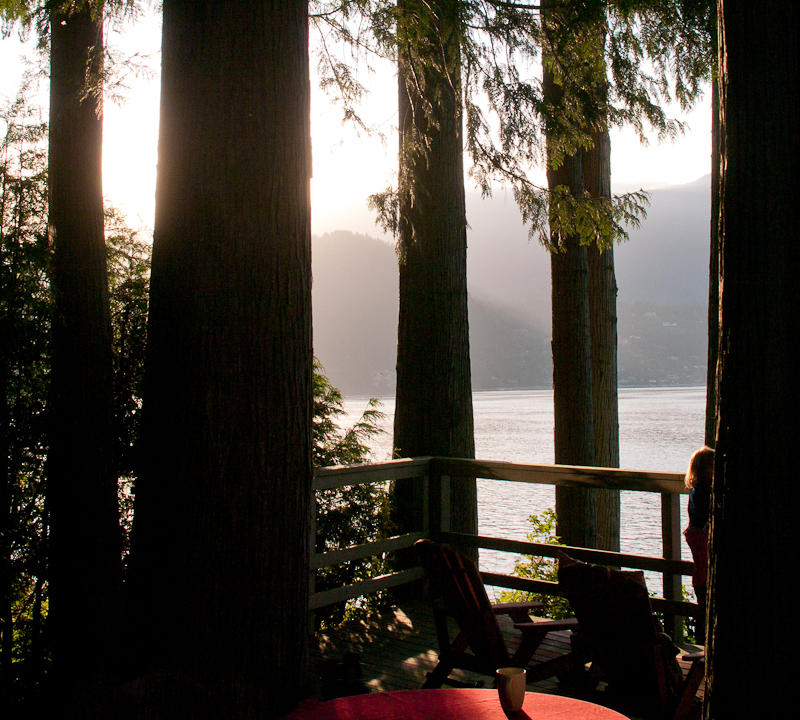 Sun behind trees, with coffee cup and visitor