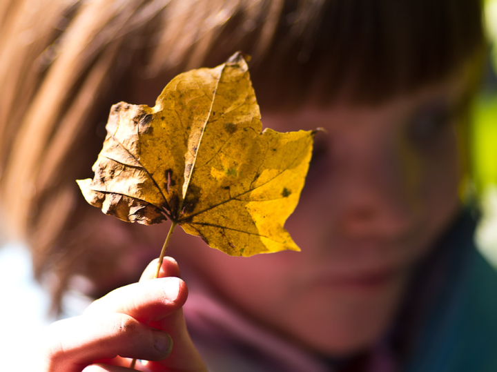 Girl with autumn leaf