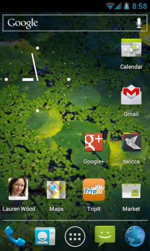 Nexus S home screen