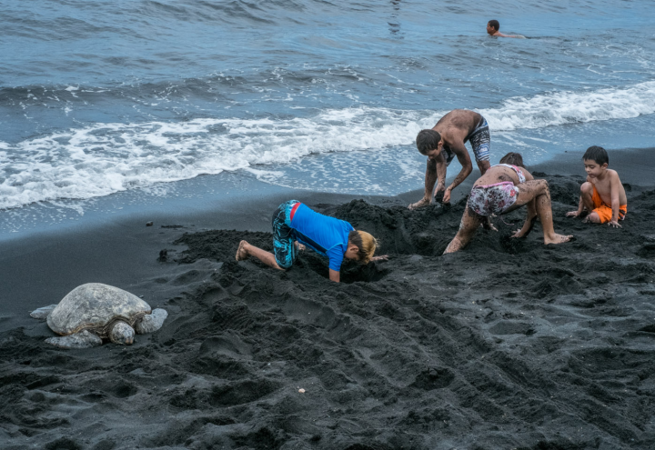 Children playing on black-sand beach near sea         turtle