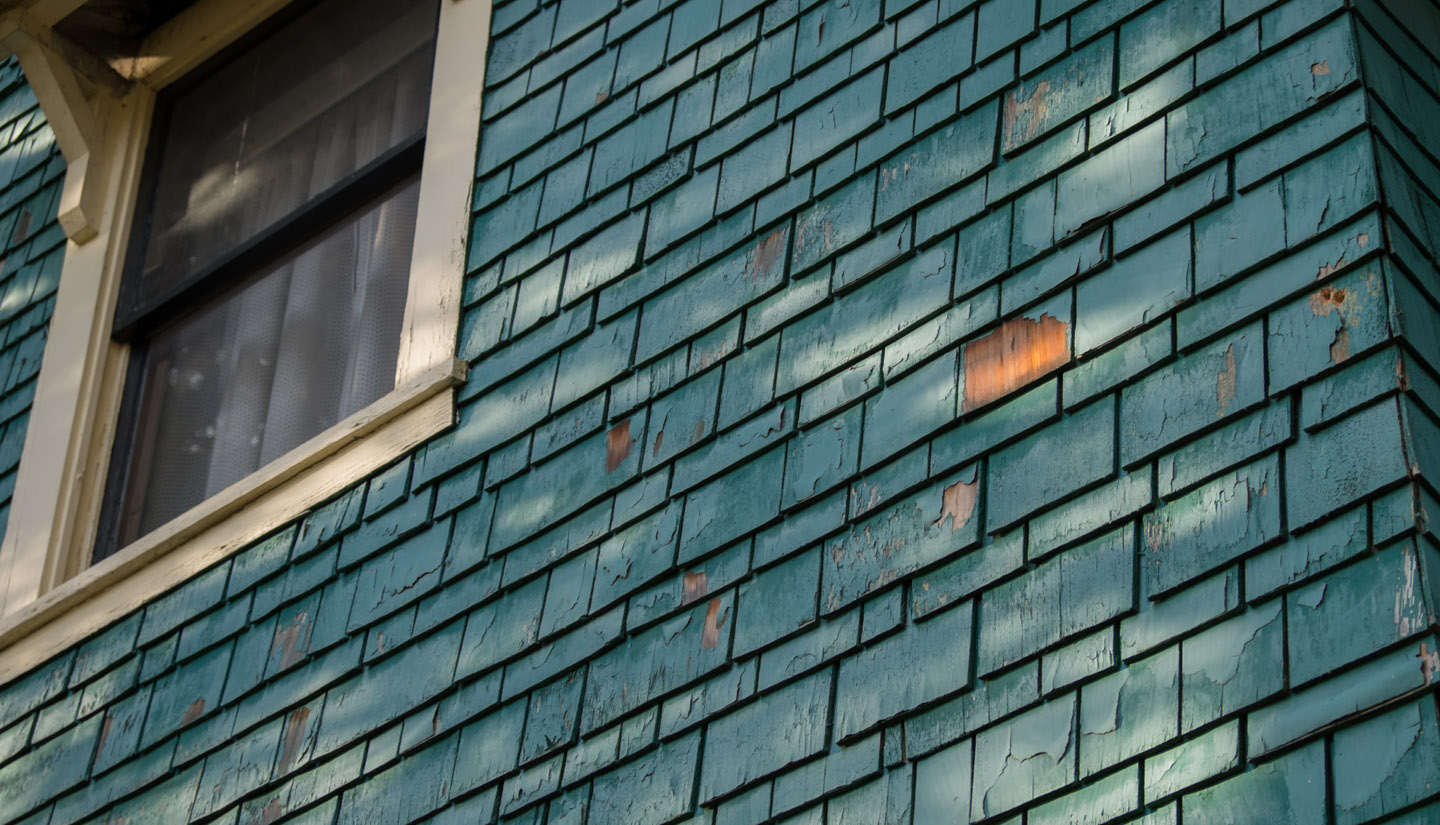 Dappled shingles