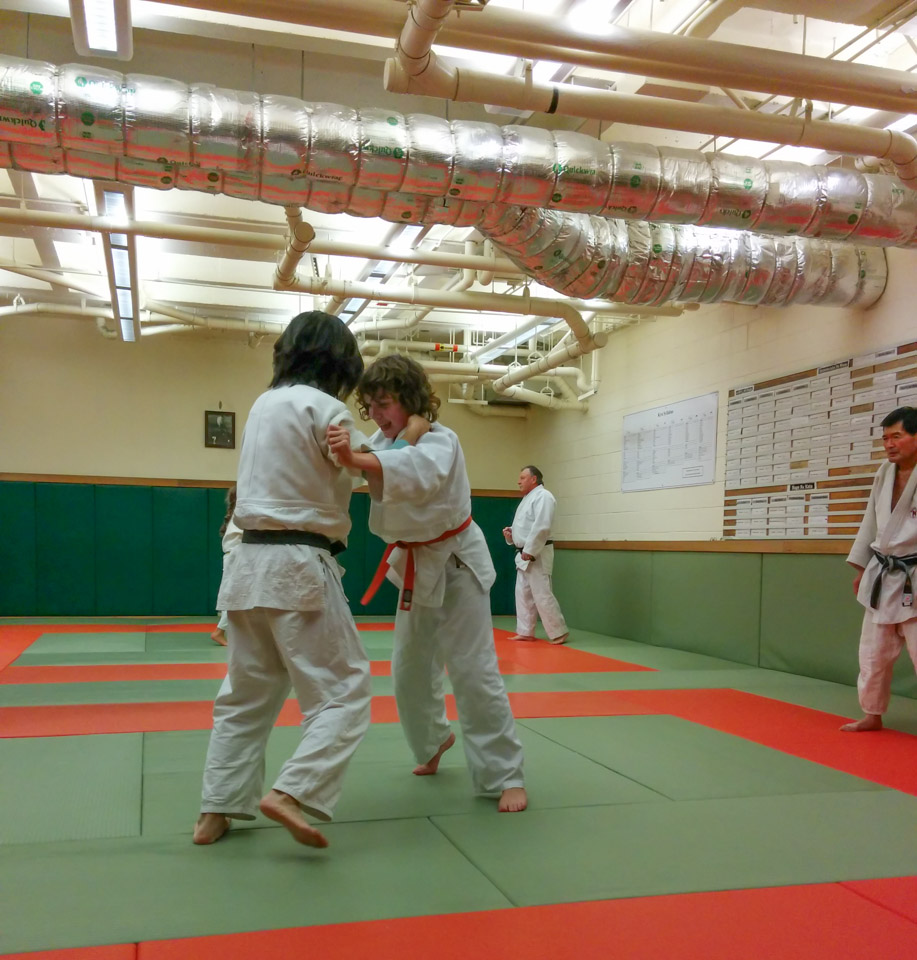 Randori at a dojo