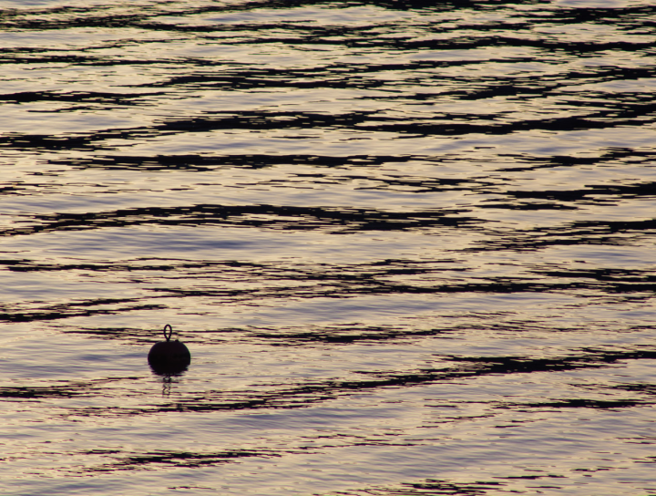 A buoy in the Howe Sound