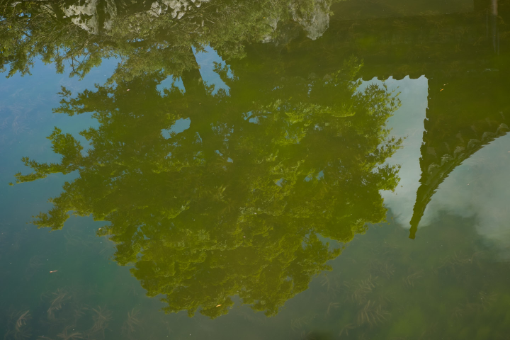 Reflection in a pond at Dr. Sun Yat-Sen Classical Chinese Garden