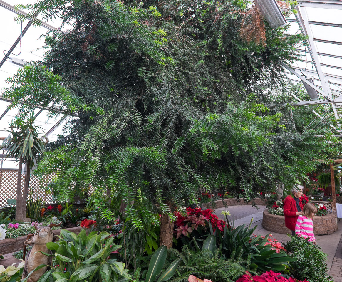 In the Regina floral conservatory