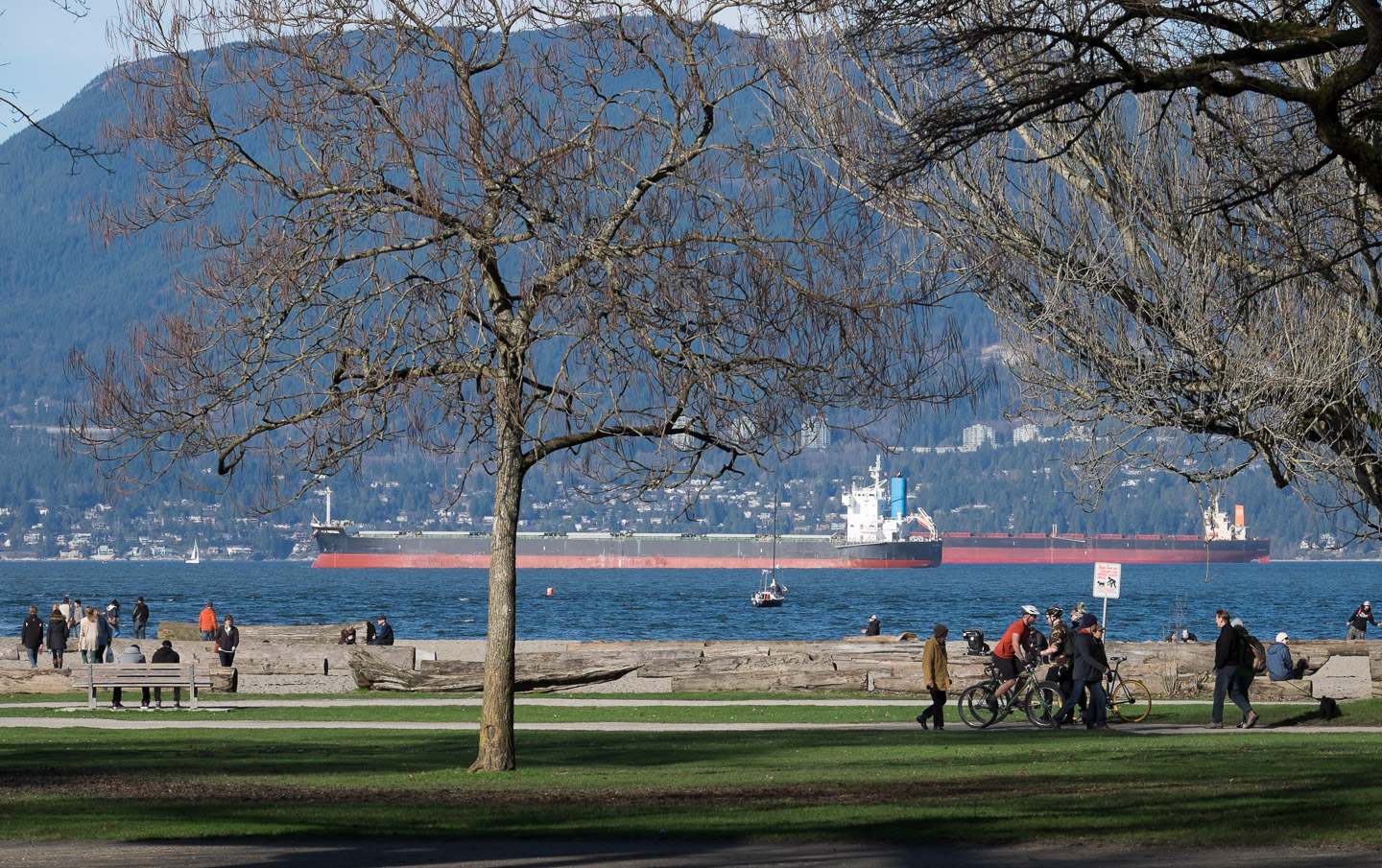 Sunny Vancouver summer Sunday