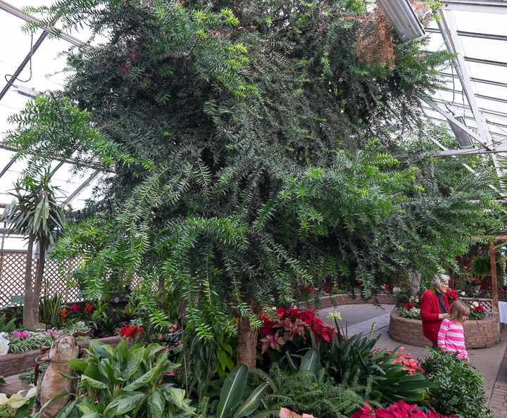 In the Regina floral conservatory In the Regina floral conservatory