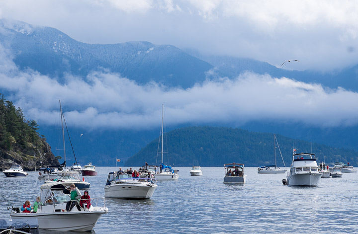 Looking out from Halkett Bay, day of the Annapolis sinking