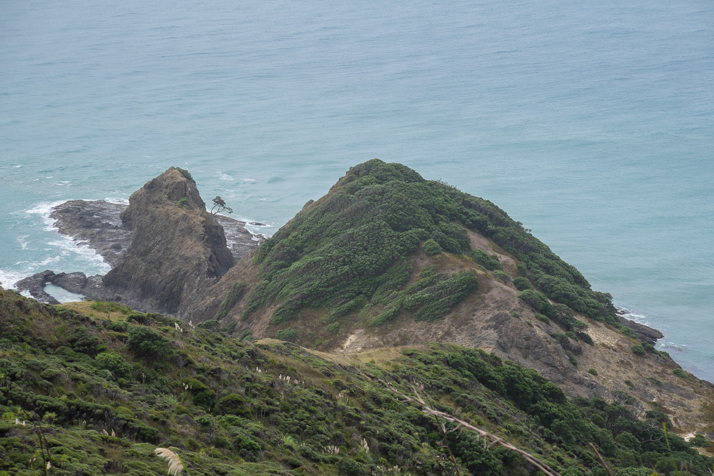 Cape Reinga