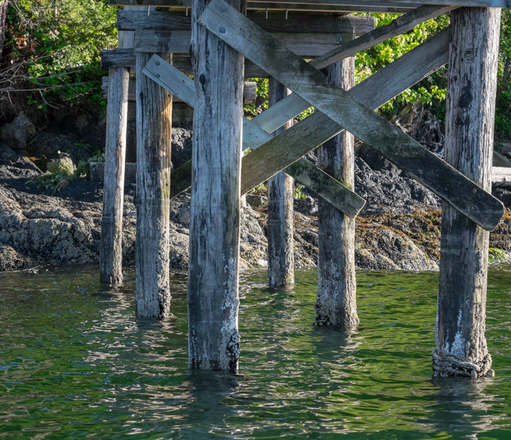 Dock pilings