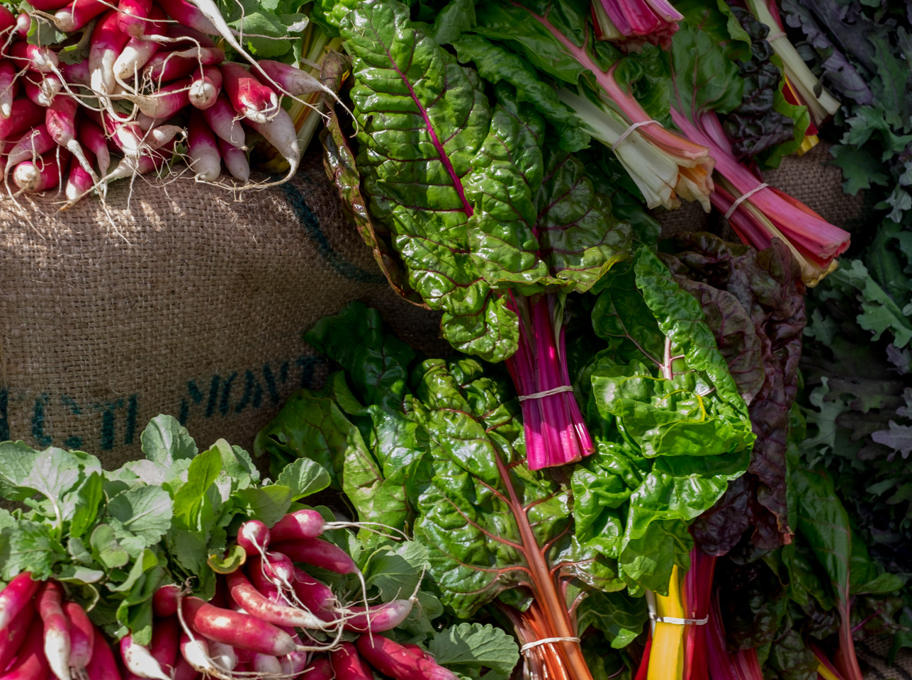 Pink vegetables