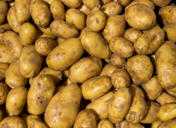 Yellow potatoes