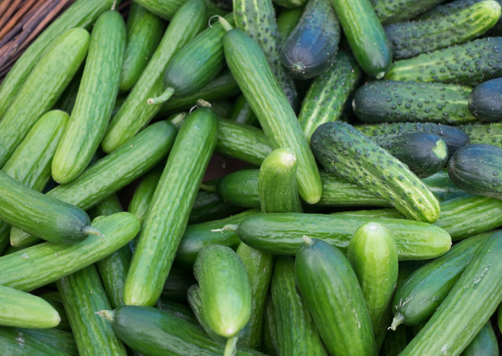 Cucumbers