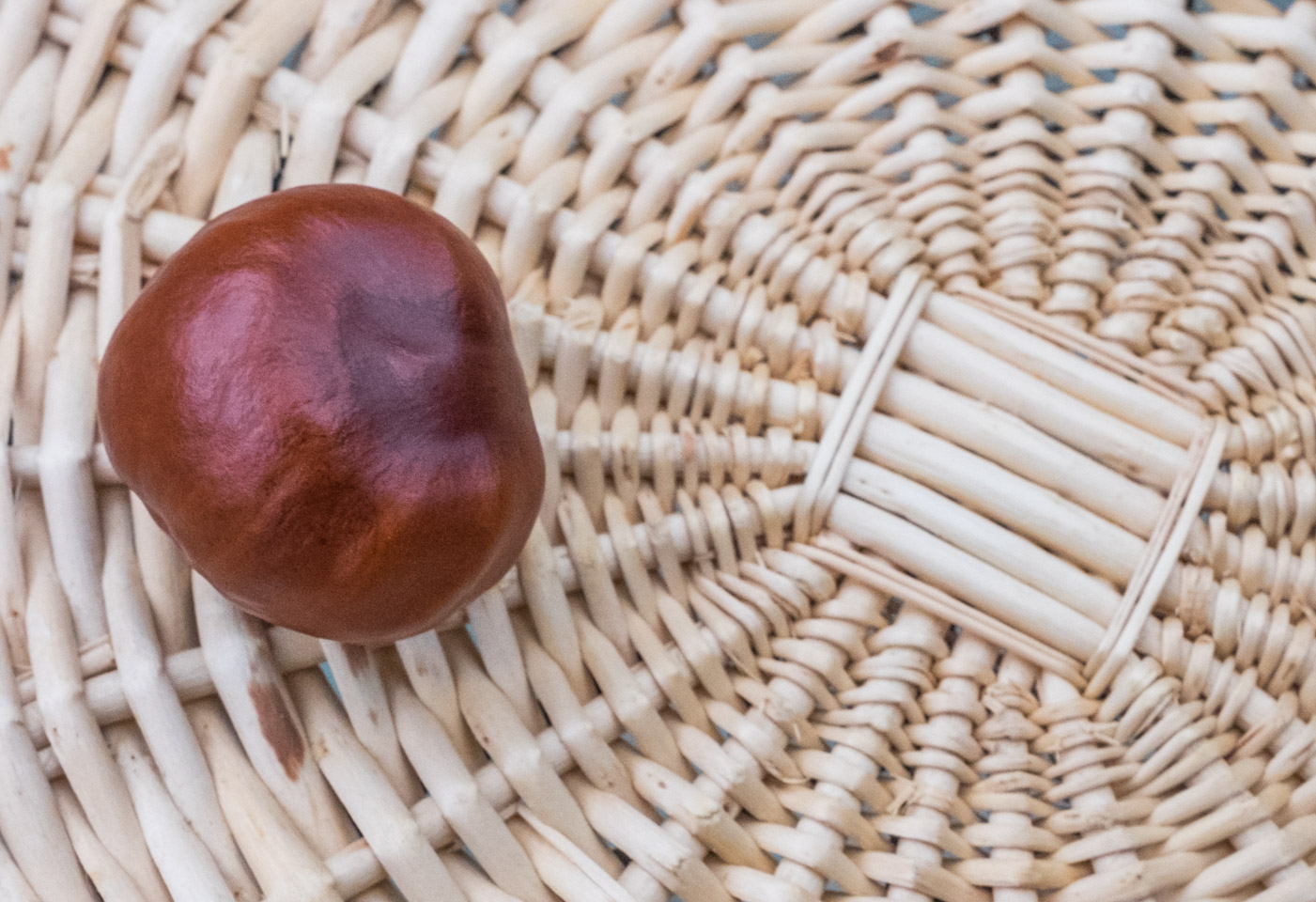 Chestnut on basket
