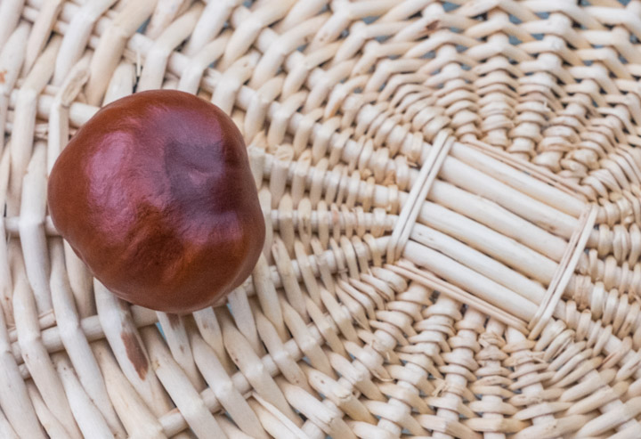 Chestnut on basket