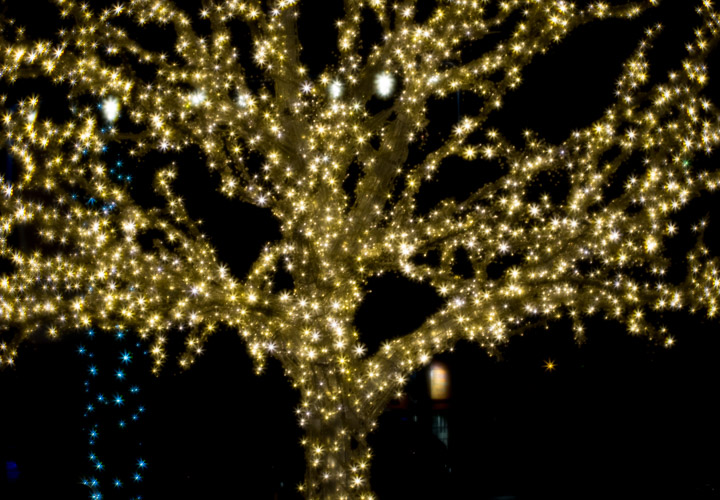 Achromat lens take on light-wrapped tree