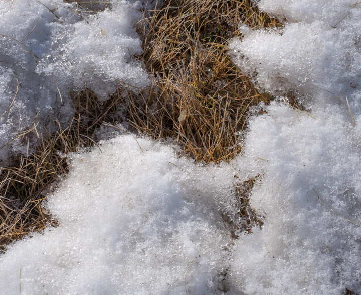 Melting snow on the prairies in spring