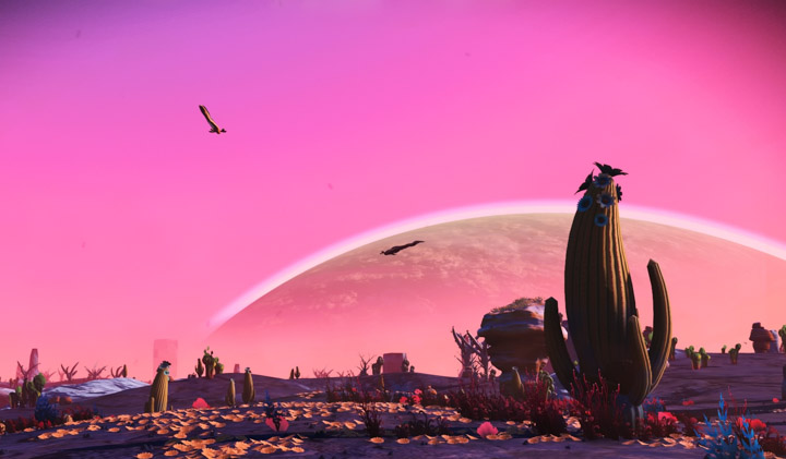 Nice view in No Man’s Sky