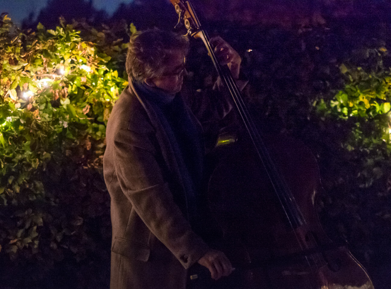 Musician at the Night For All Souls