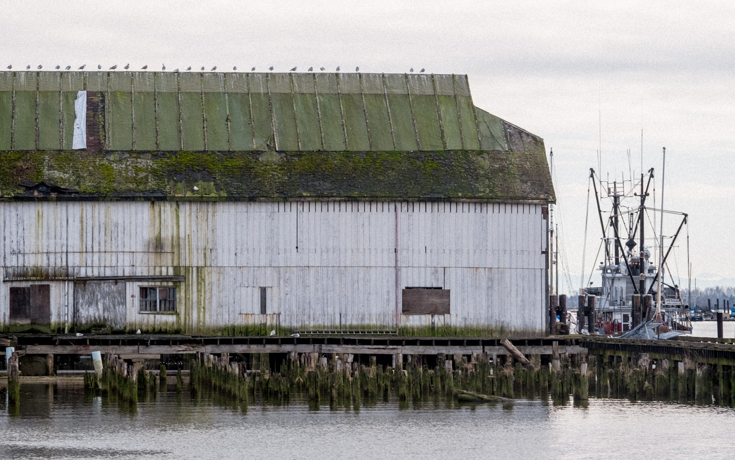 Old warehouse at Steveston