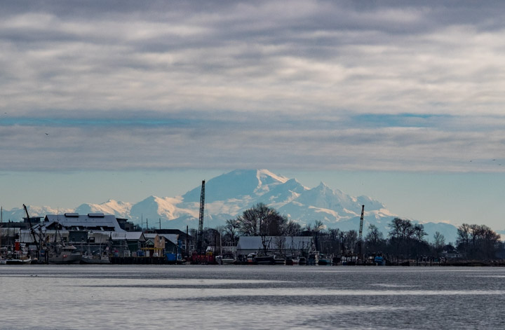 Mount Baker behind the Steveston docks