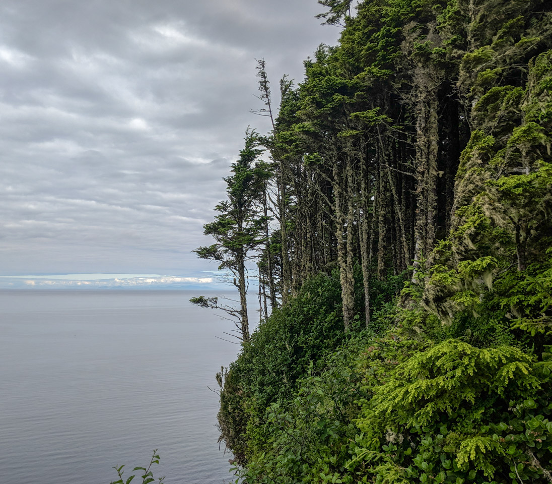 Looking north from Tow Hill, Haida Gwaii