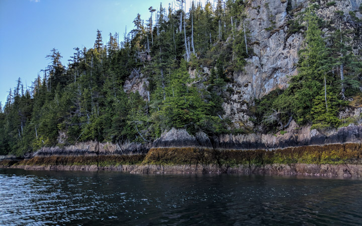 Tidelines in Gwaii Haanas