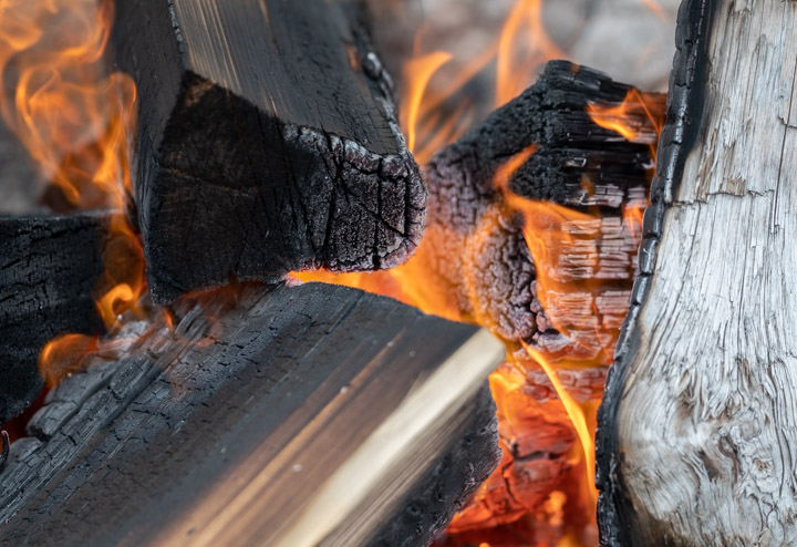 Fire detail in Gwaii Haanas