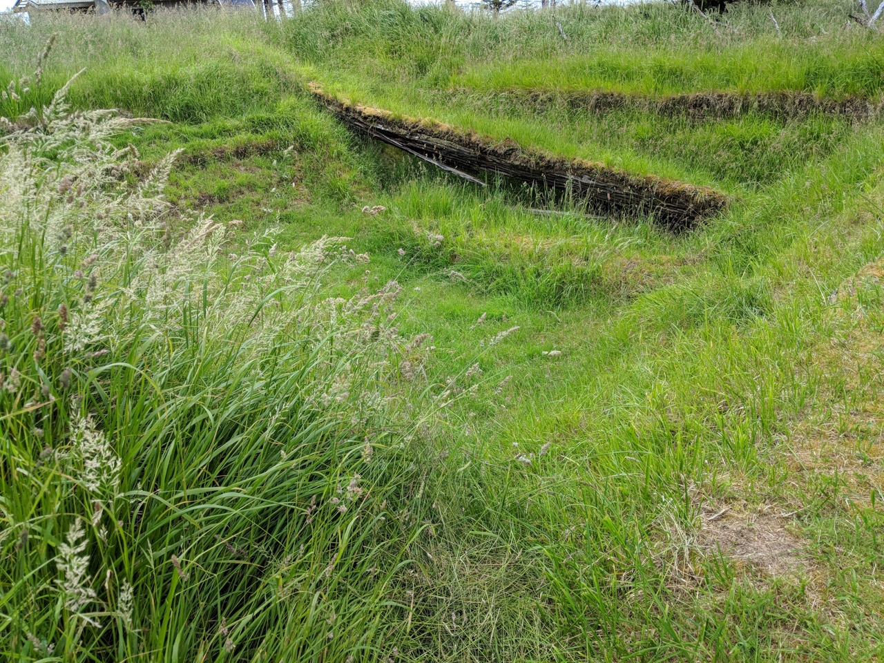 Site of large house at an old Haida Village