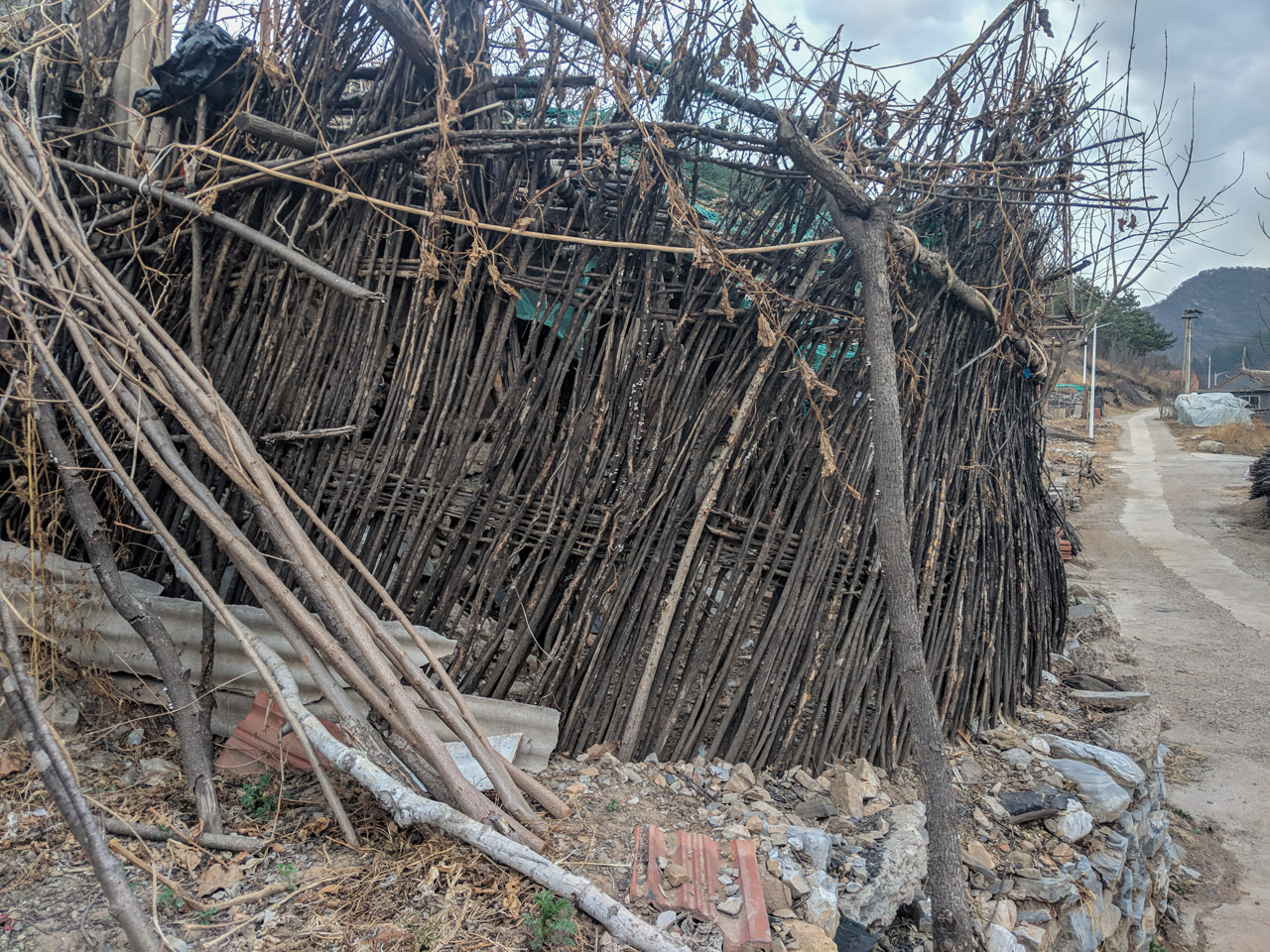 Chicken coop in Xizhazi