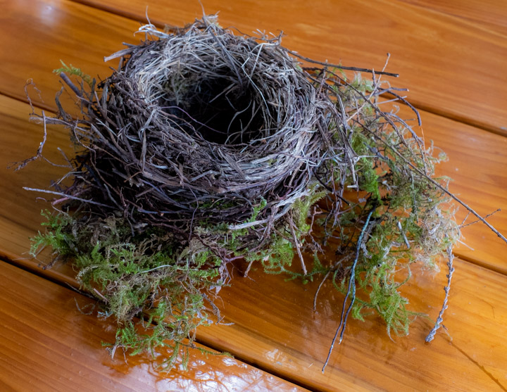 Fallen birds-nest