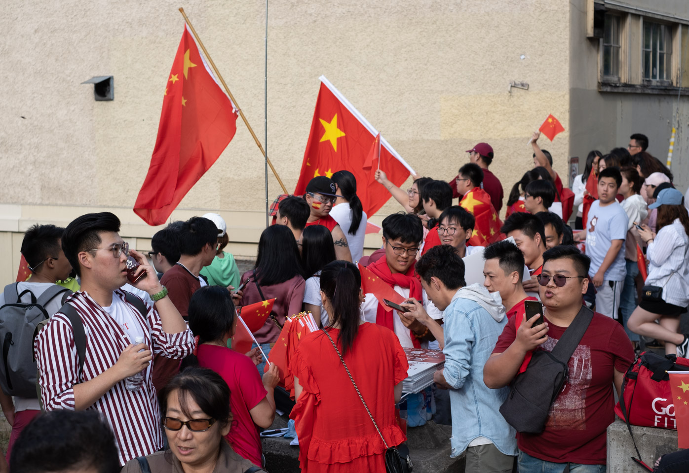 Pro-Beijing demonstrators